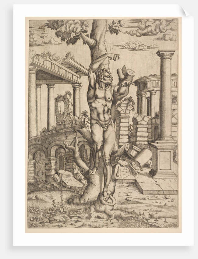 Man Against a Tree, ca. 1543-44 by Master IQV