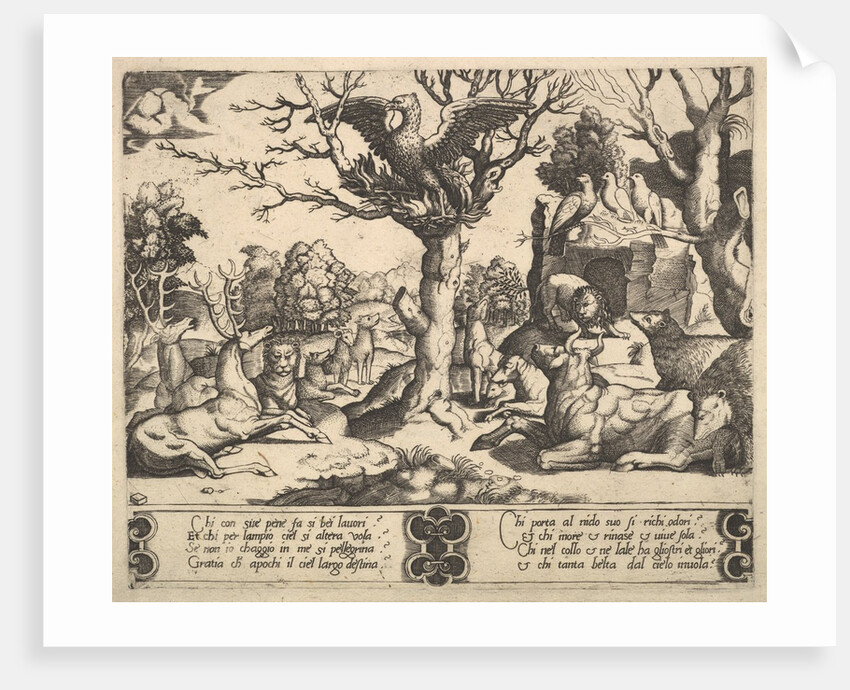 A phoenix sat atop a tree, wings open, an assortment of animals below, 1530-60 by Master of the Die