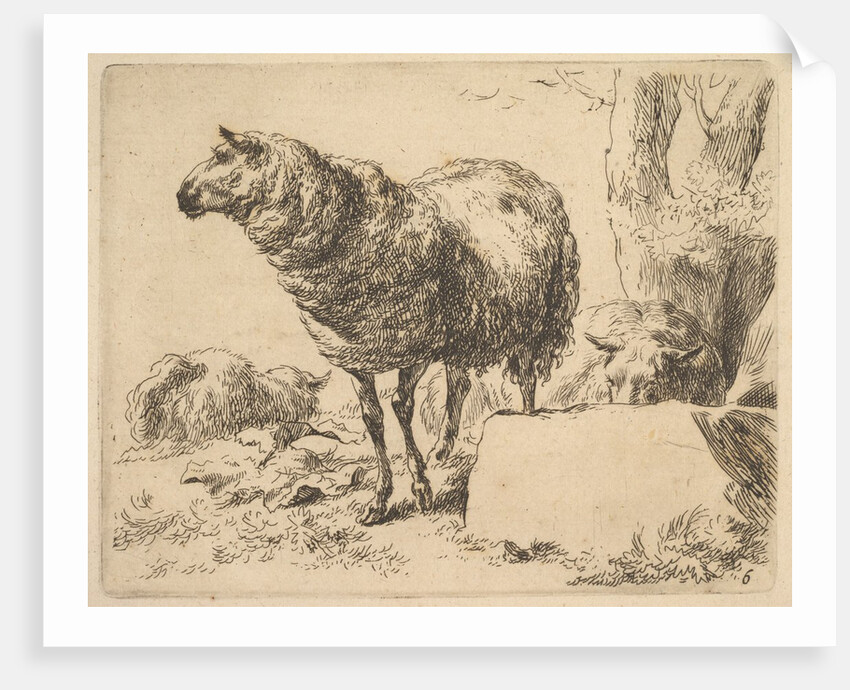 from The Set of Sheep by Nicolaes Berchem