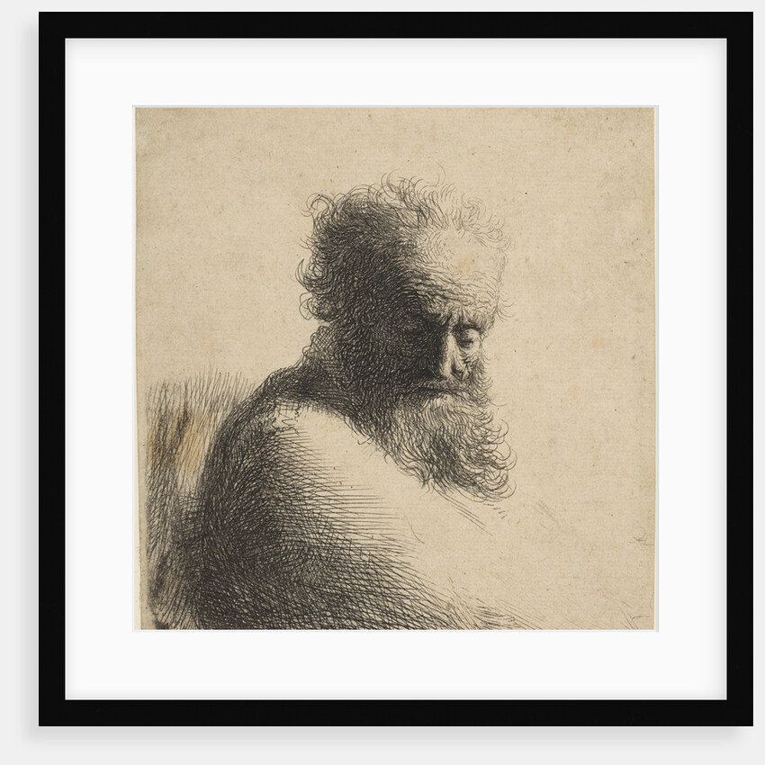 Bust of an Old Bearded Man Looking Down, Three-Quarters Right, 1631 by Rembrandt Harmensz van Rijn
