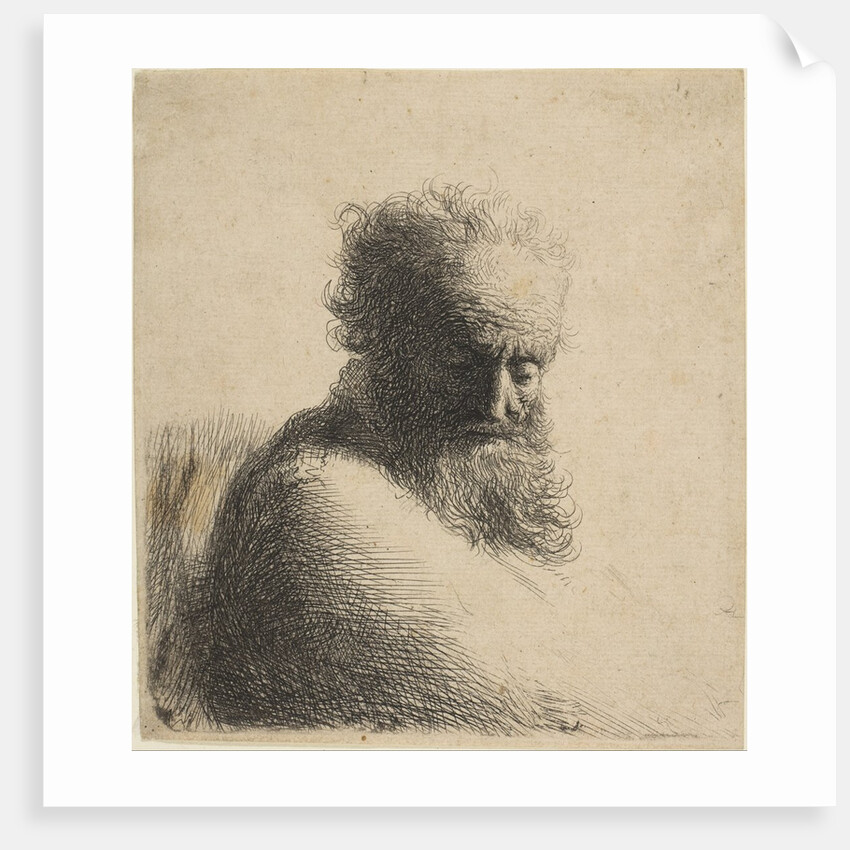 Bust of an Old Bearded Man Looking Down, Three-Quarters Right, 1631 by Rembrandt Harmensz van Rijn