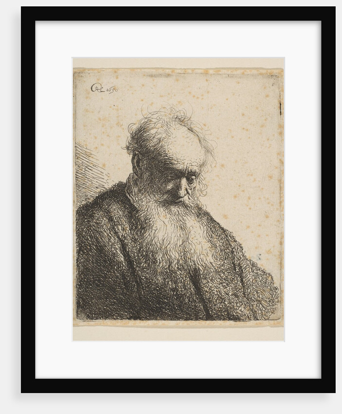 Bust of an Old Man with Flowing Beard: the Head Inclined Three-Quarters Right, 1630 by Rembrandt Harmensz van Rijn