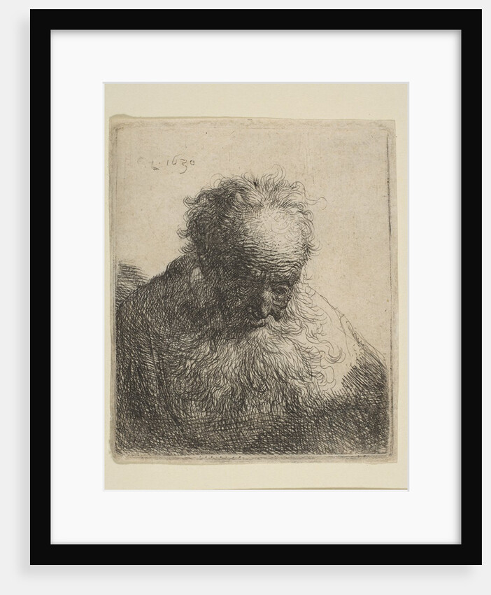 Bust of an Old Man with a Flowing Beard: the Head Bowed Forward: Left Shoulder Unshaded, 1630 by Rembrandt Harmensz van Rijn