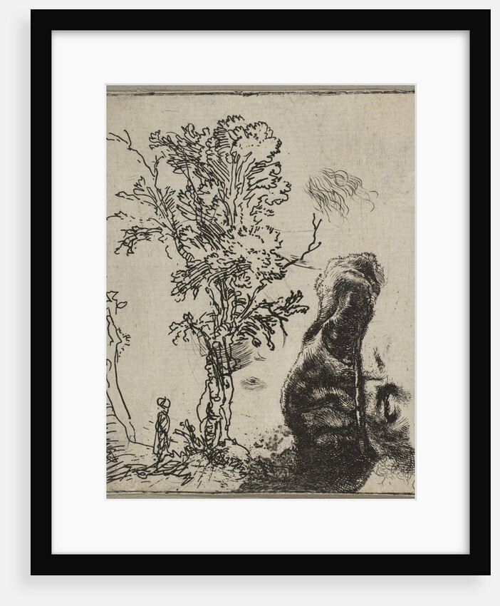 Sheet with Two Studies: A Tree and the Upper Part of a Head of Rembrandt Wearing a Vel…, ca. 1642 by Rembrandt Harmensz van Rijn