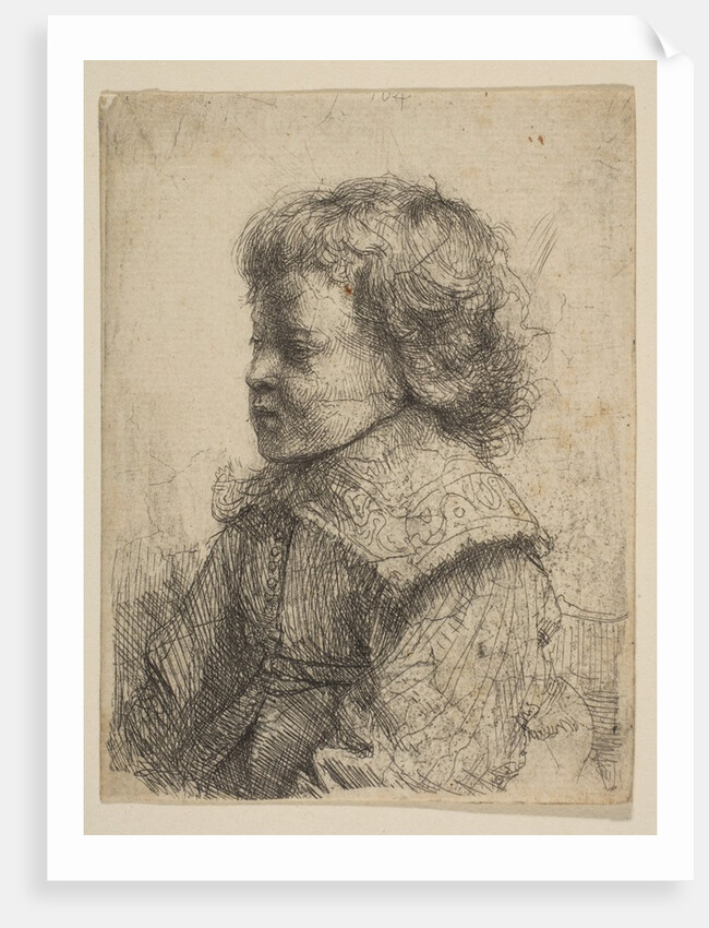Portrait of a Boy, in Profile, 1641 by Rembrandt Harmensz van Rijn