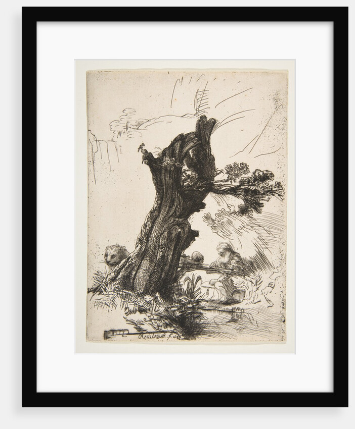 St. Jerome beside a Pollard Willow, 1648 by Rembrandt Harmensz van Rijn