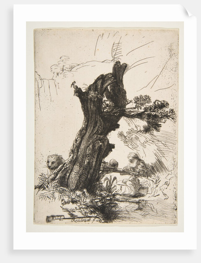 St. Jerome beside a Pollard Willow, 1648 by Rembrandt Harmensz van Rijn