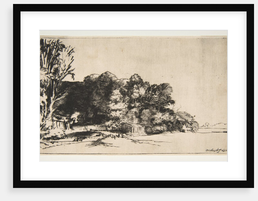 Clump of Trees with a Vista, 1652 by Rembrandt Harmensz van Rijn