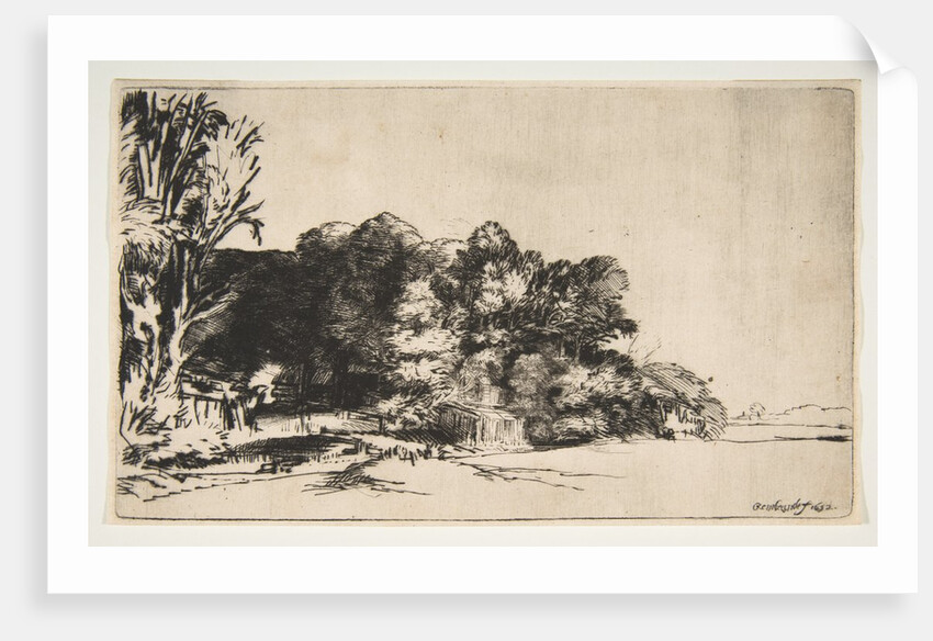 Clump of Trees with a Vista, 1652 by Rembrandt Harmensz van Rijn