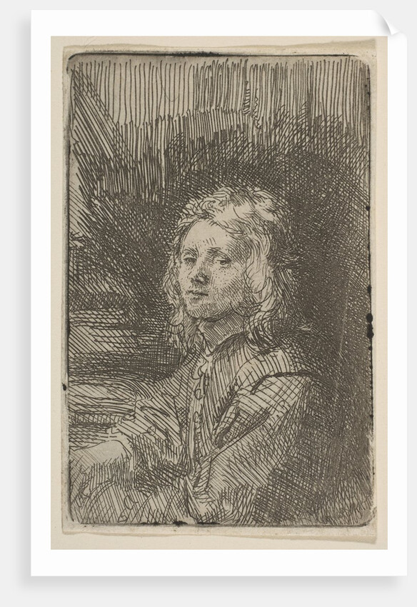 Young Man, Half-Length, 1620-69 by Workshop of Rembrandt