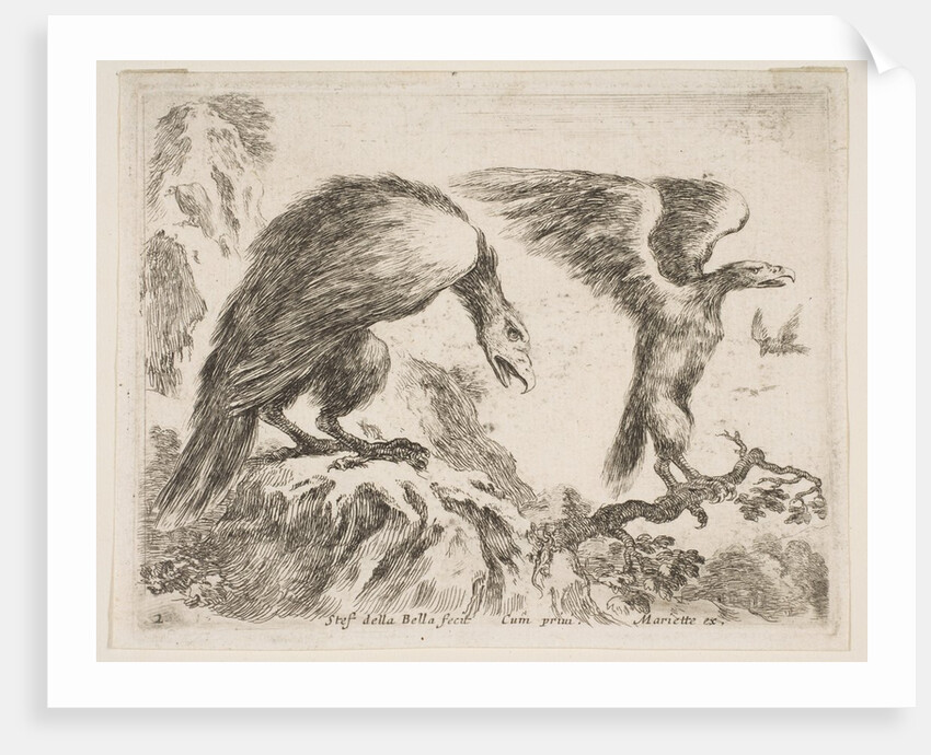 Plate 2: eagle and eaglet, from 'Various animals', ca. 1641 by Stefano della Bella