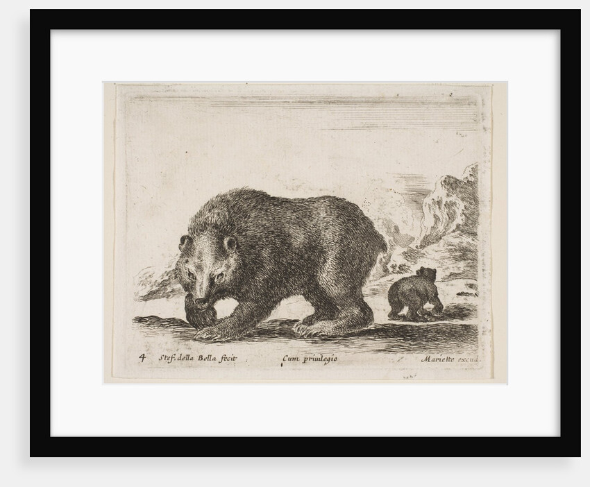 Plate 4: bear, from 'Various animals', 1641 by Stefano della Bella