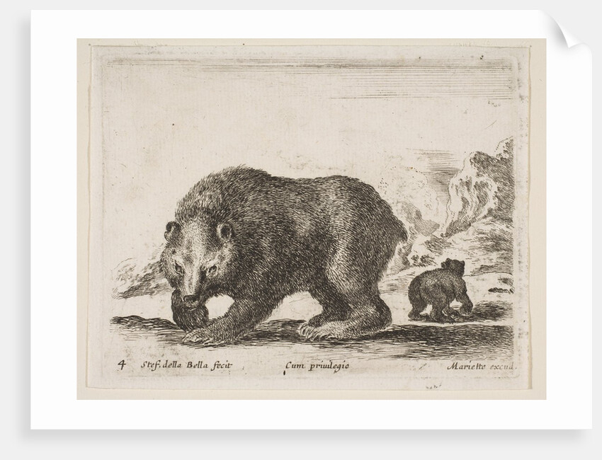 Plate 4: bear, from 'Various animals', 1641 by Stefano della Bella