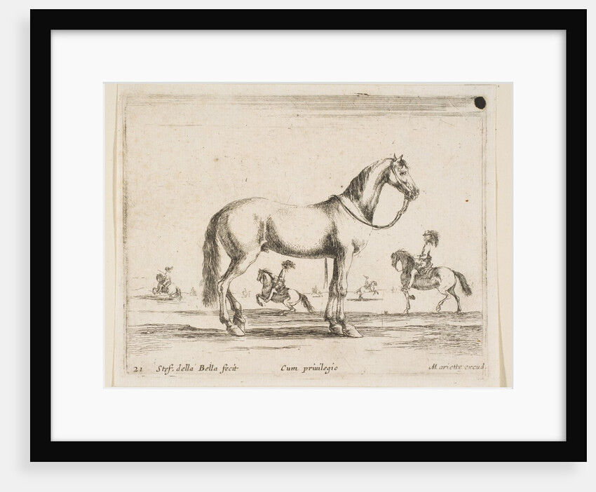 Plate 21: horse, from 'Various animals', 1641 by Stefano della Bella