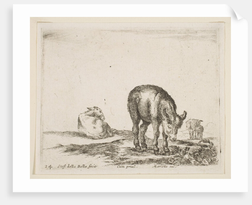 Plate 24: donkeys, from 'Various animals', ca. 1641 by Stefano della Bella