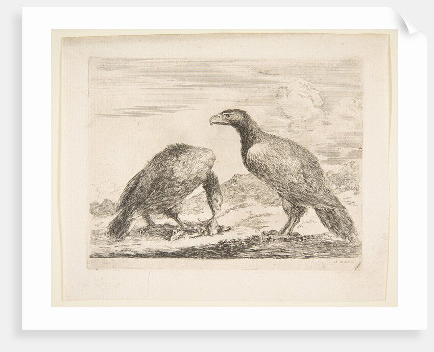 Two eagles, one devouring a lamb, from 'Eagles', ca. 1651 by Stefano della Bella