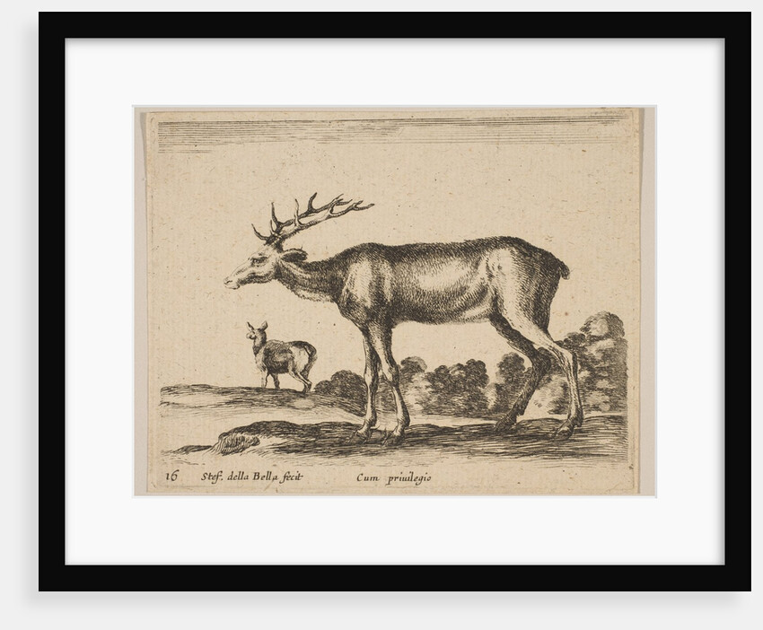 Plate 16: stag, from 'Various animals', ca. 1641 by Stefano della Bella