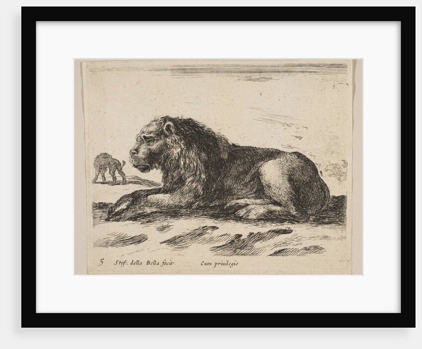 Plate 5: reclining lion, from 'Various animals', ca. 1641 by Stefano della Bella