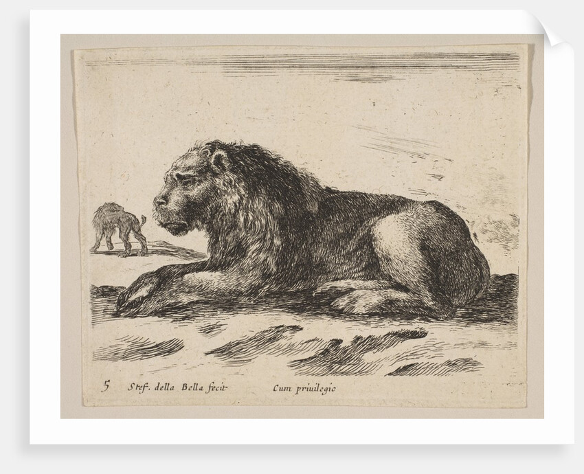 Plate 5: reclining lion, from 'Various animals', ca. 1641 by Stefano della Bella