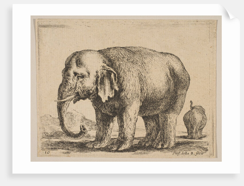 Plate 10: elephant, from 'Various animals', ca. 1641 by Stefano della Bella