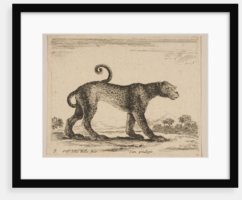 Plate 9: leopard, from 'Various animals', ca. 1641 by Stefano della Bella
