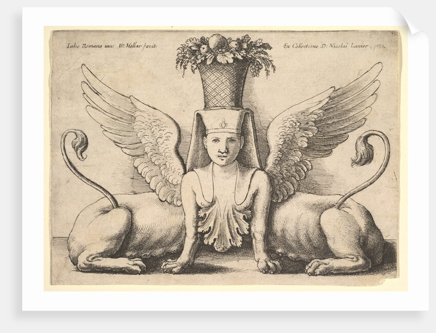 Sphinx with Two Bodies, 1652 by Wenceslaus Hollar