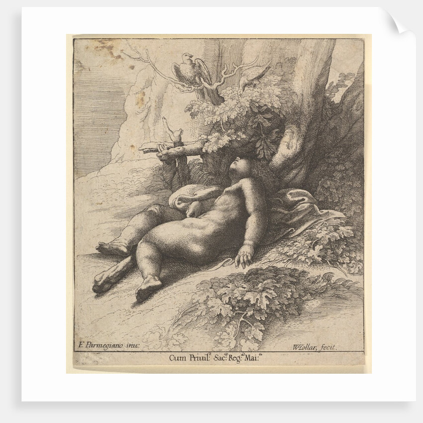 Infant Hercules asleep, 1625-77 by Wenceslaus Hollar