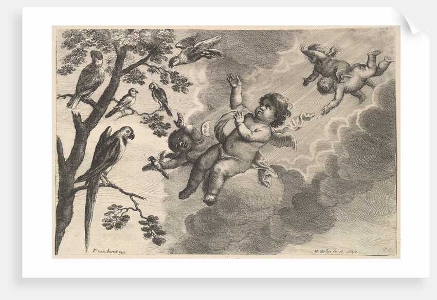 Air, ca. 1647 by Wenceslaus Hollar