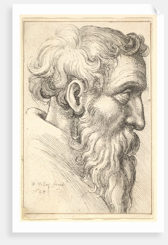 Bearded old man in profile to right, 1645 by Wenceslaus Hollar