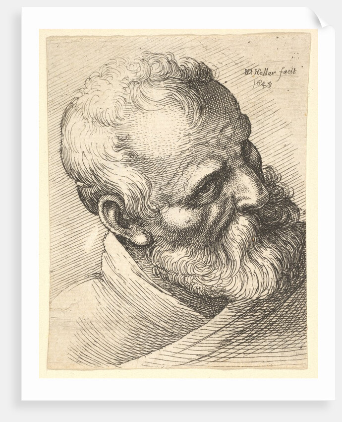 Bearded old man with a tilted head, 1645 by Wenceslaus Hollar