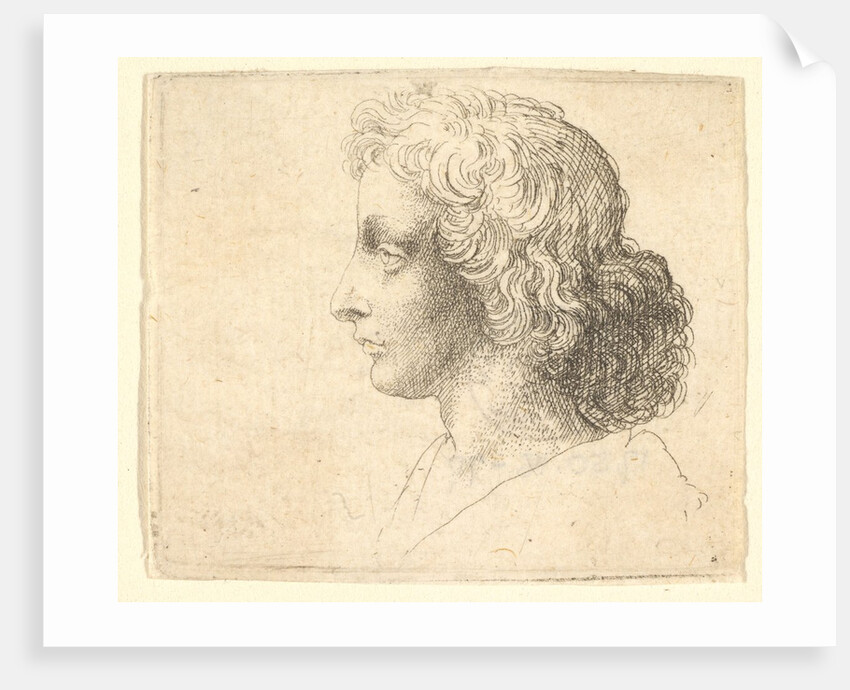 Head of young man with long hair in profile to the left, 1644-52 by Wenceslaus Hollar