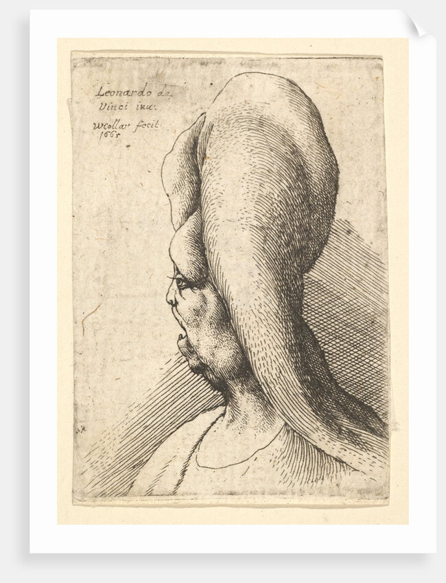 Bust of a deformed old woman with one tooth, facing left, 1665 by Wenceslaus Hollar