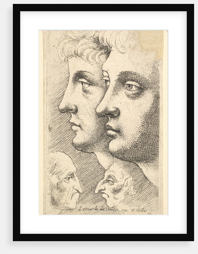 Two youths in profile to left with two grotesque heads facing each other below, 1625-77 by Wenceslaus Hollar
