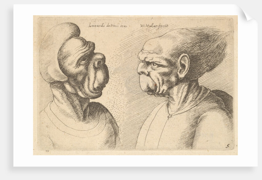 Two deformed heads facing inwards, 1625-77 by Wenceslaus Hollar