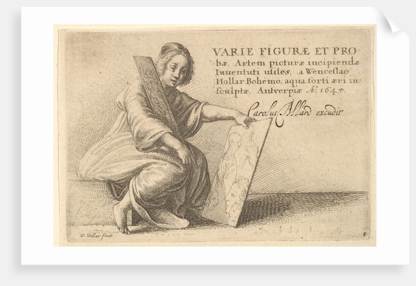 Varie Figuræ et Probæ, 1645 by Wenceslaus Hollar