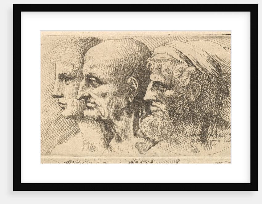 Row of three heads in profile to left, 1645 by Wenceslaus Hollar