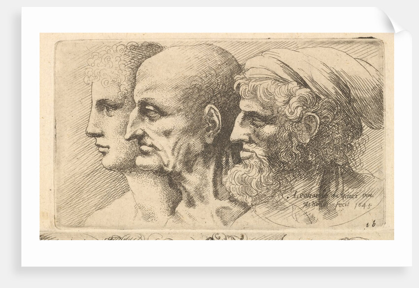 Row of three heads in profile to left, 1645 by Wenceslaus Hollar