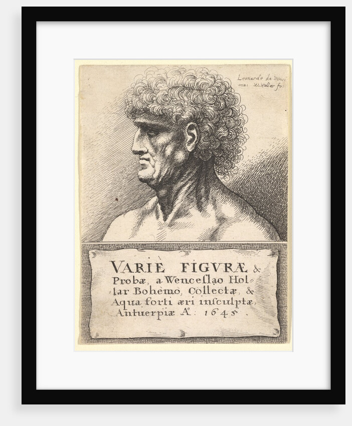 Title-page to 'Varie Figuræ & Probæ', 1645 by Wenceslaus Hollar