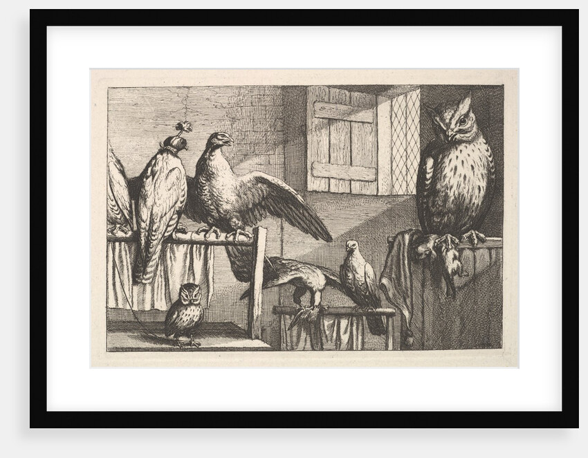 Hawks and owls, 1625-77 by Wenceslaus Hollar