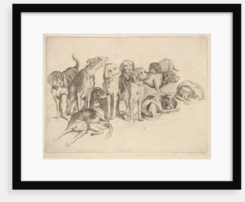 Eleven Hounds, 1625-77 by Wenceslaus Hollar