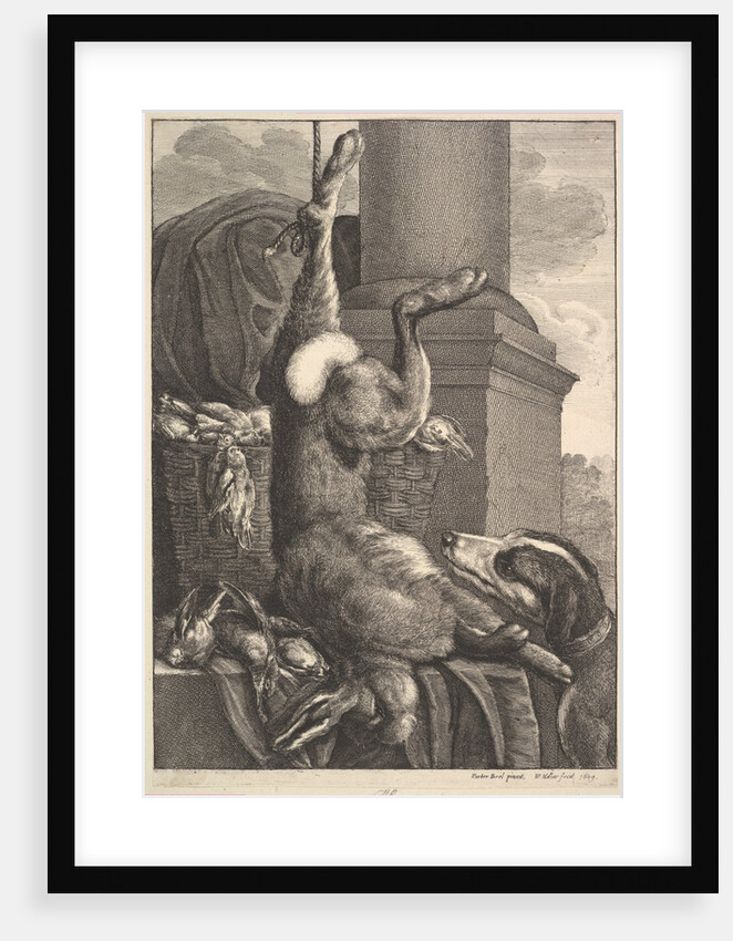 The Dead Hare, 1649 by Wenceslaus Hollar