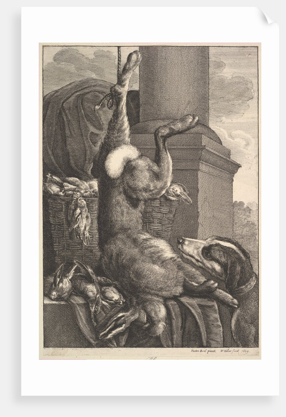 The Dead Hare, 1649 by Wenceslaus Hollar