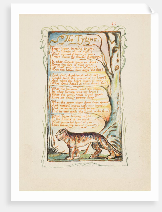 Songs of Innocence and of Experience: The Tyger, ca. 1825 by William Blake
