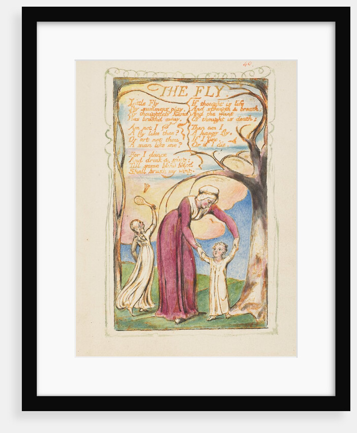 Songs of Innocence and of Experience: The Fly, ca. 1825 by William Blake