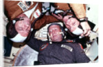 The two crews of the joint US/USSR ASTP docking in Earth orbit mission by Unknown