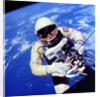 US Astronaut Edward H. White II carrying out external tasks by Unknown