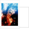 Infra-red view of constellation of Orion by Unknown