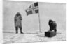 Roald Engelbrecht Gravning Amundsen, Norwegian explorer, at the South Pole, 1911 by Unknown