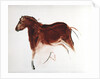 Horse and Hind, Palaeolithic cave painting from Altamira, southern Spain, c16,000-c9000 BC by Unknown