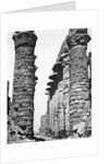 Central alley of the great temple at Karnak, Egypt, 1878 by Unknown